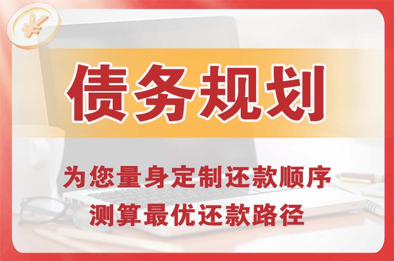 惠水债务规划